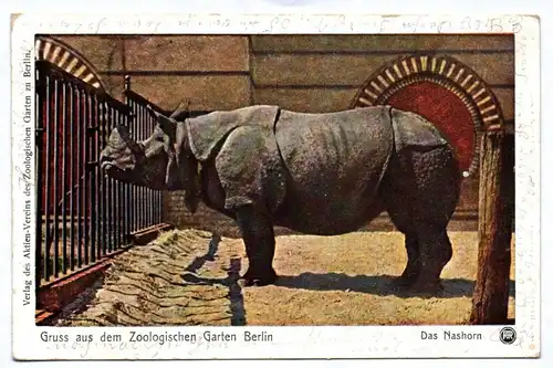 Ak Berlin Gruß aus dem zoologischen Garten  Das Nashorn 1910