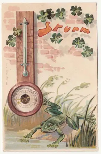 Präge Litho Ak Frosch Sturm Serie " Barometer 895 " um 1900/10 ! (A2020