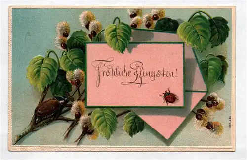 Präge Ak Maikäfer auf Weidenkätzchen Fröhliche Pfingsten 1911 