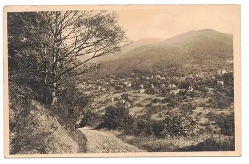 Foto Ak Badenweiler Waldweg 1927  (A3902