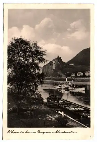 Ak Elbepartie bei der Burgruine Schreckenstein Elbedampfer Raddampfer Elbe  1939