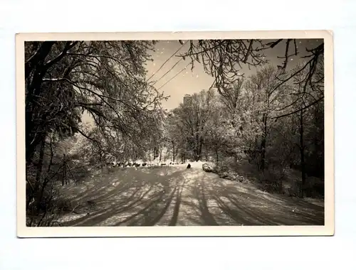 Ak Landeskrone Berg Winter Wald Görlitz