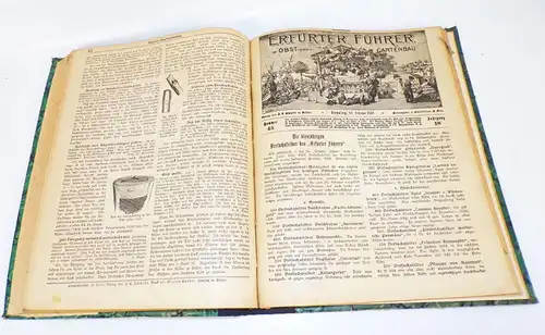 Erfurter Führer im Obst und Gartenbau 1917 1918 Pomologie Garten Buch