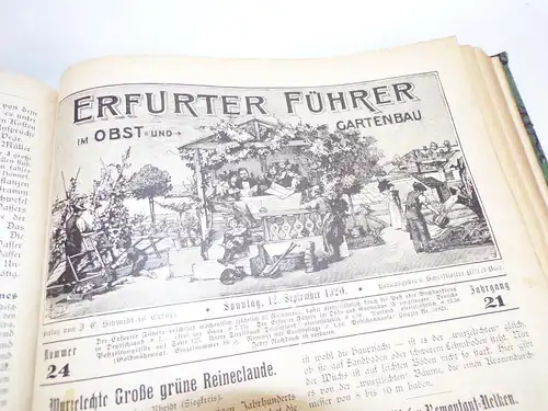 Erfurter Führer im Obst und Gartenbau 1920 1921 Buch