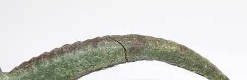 Lineol Massetier Krokodil Alligator  