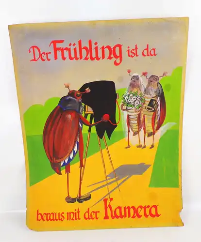 Altes Pappschild Fotograf Reklame vermenschlichte Maikäfer Handgemalt 