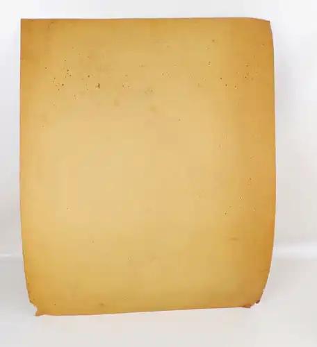 Altes Pappschild Fotograf Reklame vermenschlichte Maikäfer Handgemalt 