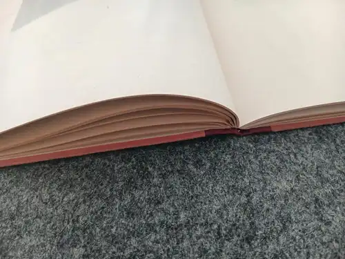 Deutsche Reichsbahn Vorschriften für den Bremsdienst Teil II 1961 Buch