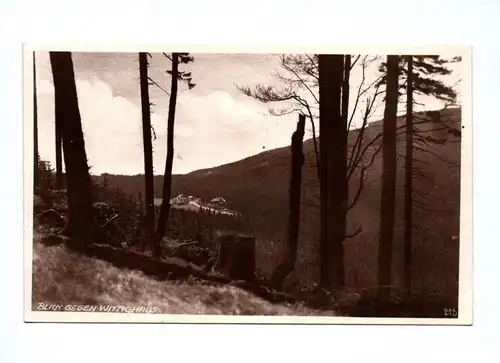 Ak Blick gegen Wittighaus Isergebirge Berghütte Smědava Bilý Potok Weißbach
