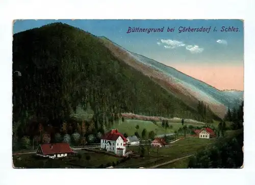 Ak Büttnergrund bei Görbersdorf in Schlesien Sokołowsko Polen 1914