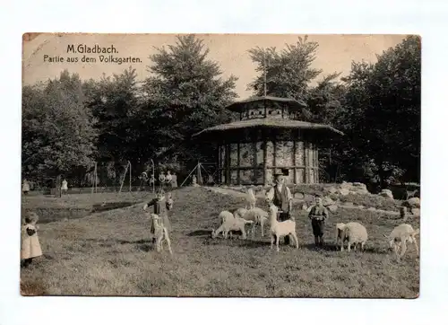 Ak Mönchen Gladbach Partie aus dem Volksgarten Kinder mit Schafen DR