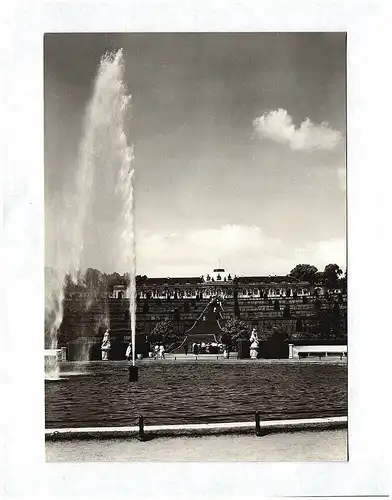 Ak Echtfoto Schloß Sanssouci und Terrassen Potsdam DDR