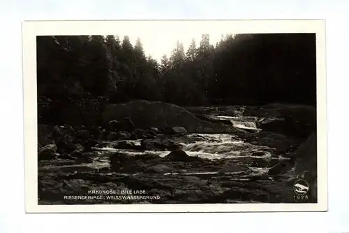 Ak Krkonose Bílé Labe Riesengebirge Weisswassergrund 1928 Tschechien