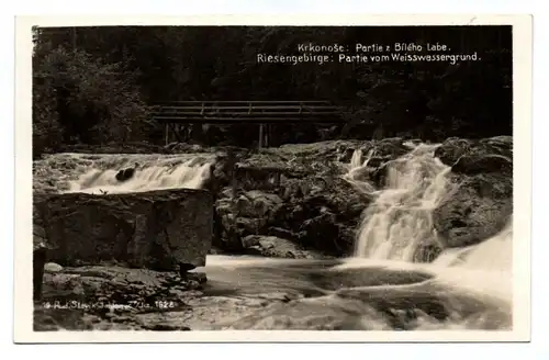 Ak Krkonose Partie Bílého Labe Riesengebirge Partie vom Weisswassergrund 1928