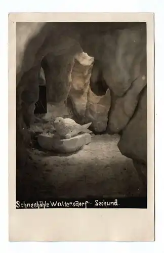 Foto Ak Waltersdorf Eisfigur Schneehöhle Seehund Winter 1929