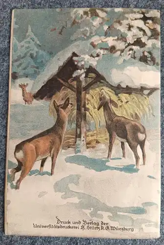 Deutscher Tierschutz Kalender alter Kalender 1926 original Heft 43. Jahrgang