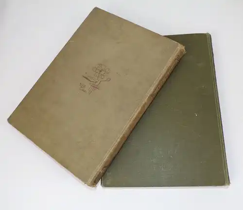 Krauss 2 Bücher Die Anmut des Frauenleibes Die Frauen im Schönheitsspiegel 