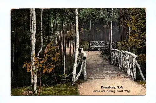 Ak Ronneburg S. A. Partie am Herzog Ernst Weg DR