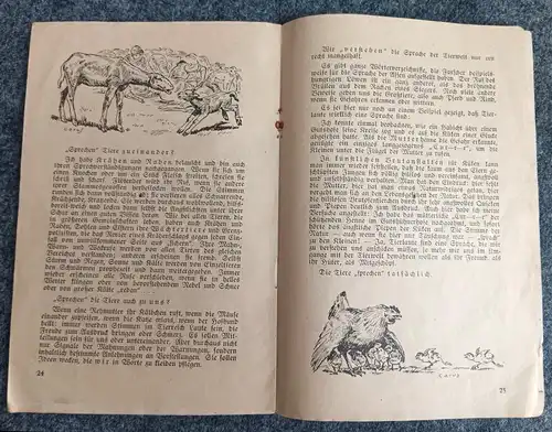 Tierschutz Kalender 1934 Original Heft alter Kalender Berliner Tierschutz DR