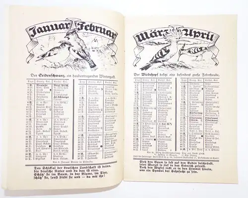 Tierschutz Kalender 1933 