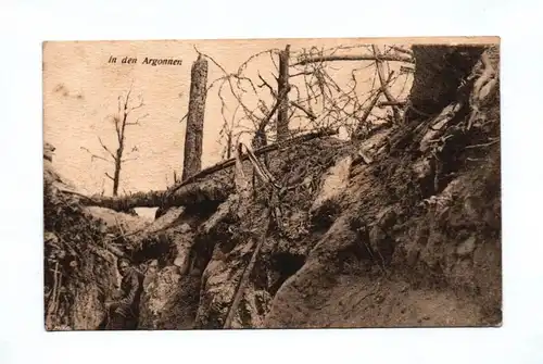 Ak In den Argonnen Feldpost 1916