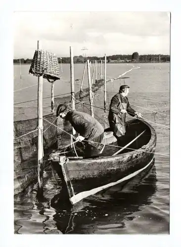 Ak Meeresmuseum Stralsund DDR 1978 Zwei Fischer auf dem Boot