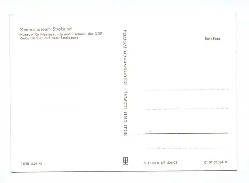 Ak Meeresmuseum Stralsund DDR 1978 Zwei Fischer auf dem Boot