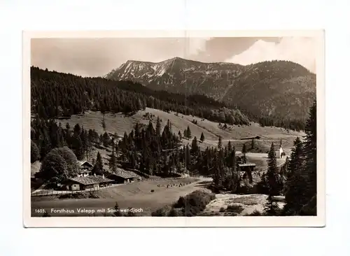 Ak Forsthaus Valepp mit Sonnenwendjoch