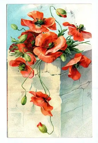 Ak rote Blumen an einer Mauer 1908