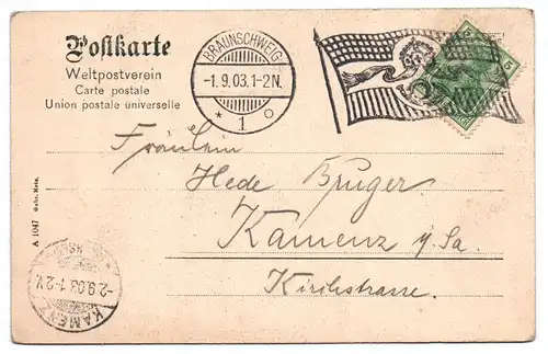 Poskarte Stempel Braunschweig 1903 Fahnen Flaggen Stempel