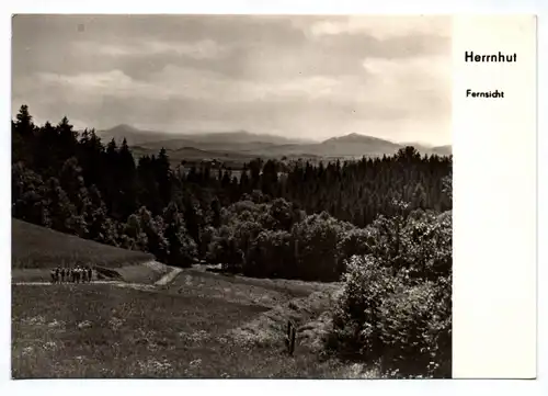 Ak Herrnhut Fernsicht Wald Berge DDR 1971