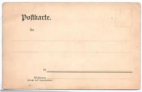 Litho Ak Gruß aus Plauen im Vogtland Blumen August um 1910