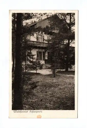 Ak Waldheimat Schwepnitz Deutsche Heimatbilder 1939