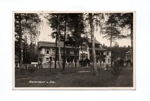 Ak Hammer am See 1939 Hamr na Jezeře Tschechien