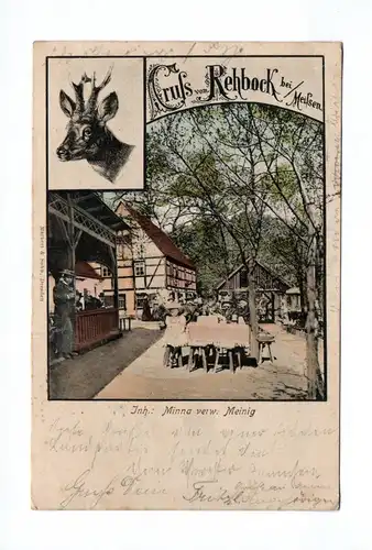 Ak Gruß vom Rehbock bei Meißen 1904
