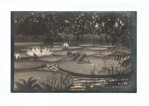Ak Künstler Foto um 1930 Victoria Regia von Fidus nackte Frau am Wasser