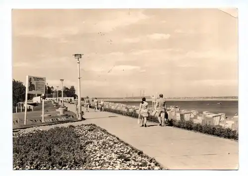 Ak Senftenberg Niederlausitz Erholungszentrum Senftenberger See DDR 1974