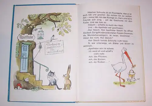 DDR Kinderbuch Häschen Schnurks Harald Hauser Karl Schrader 1975