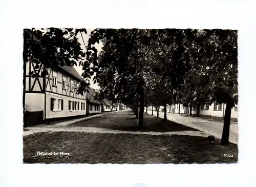 Ak Neudorf im Harz Häuser Bäume Allee DDR 1962