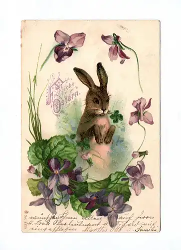 Ak Osterhase mit Kleeblatt Blumen 1902 Fröhliche Ostern