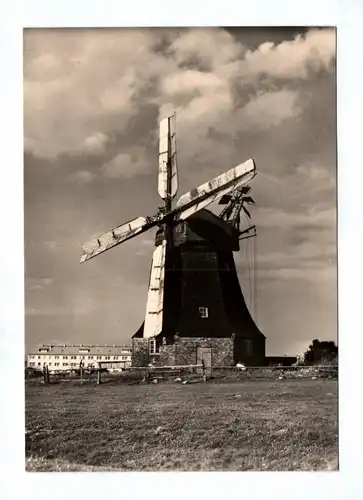Ak Ostseebad Kühlungsborn Echt Foto 1967 DDR Windmühle