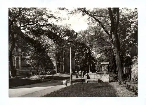 Ak Aschersleben Augustapromenade mit Schillerbank DDR 1973