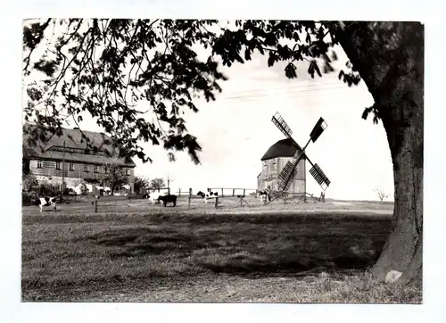 Ak Die schöne Oberlausitz Kottmarsdorf 1967 DDR Windmühle