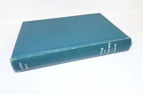 Peter der Grosse und sein Sohn Alexei Historischer Roman Mereschkowski 1905