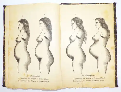 Die Lasterhöhlen der Prostitution 1895 selten