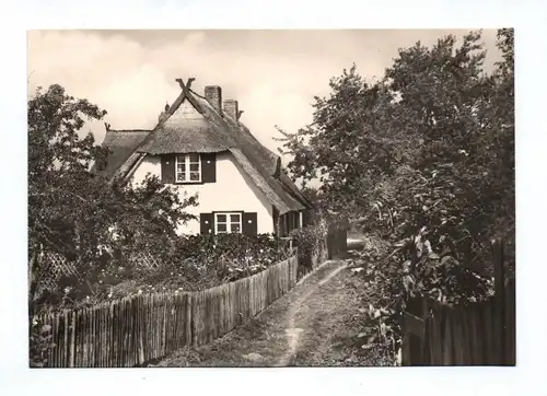 Ak Ostseebad Ahrenshoop Haus am Niemannsweg 1969