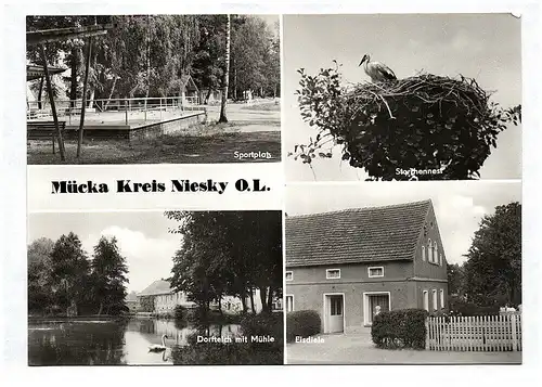 Ak Sachsen Mücka Niesky OL DDR Sportplatz Storchennest Dorfteich mit Mühle