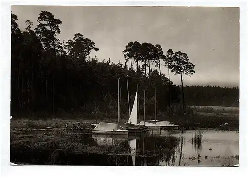 Foto Ak Stausee Quitzdorf Kreis Niesky Am Säuberg DDR 1988