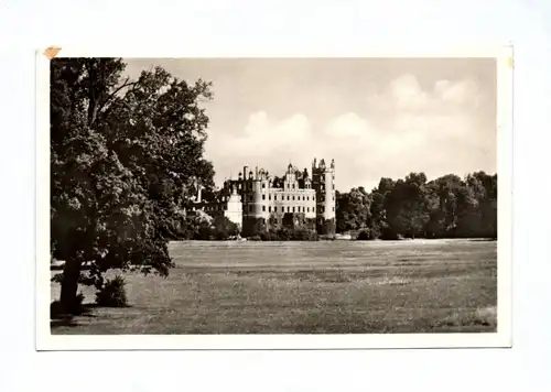 Ak Bad Muskau Blick zum Schloß und Tränenwiese