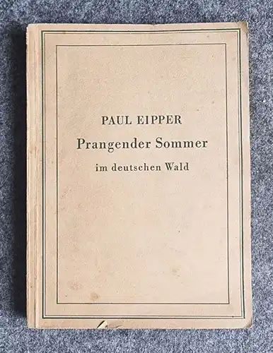 Paul Eipper Prangender Sommer im deutschen Wald 1943 Andrews und Steiner Berlin